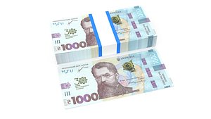 Ukrainian hryvnia1000 3D model