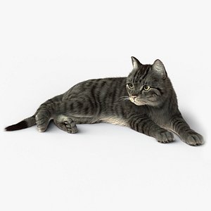Cat (2) (Grey Tabby) (RIG) (FUR)