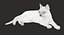 cat rigged fur 2 3D model