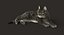 cat rigged fur 2 3D model