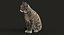 cat rigged fur 2 3D model