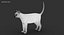 cat rigged fur 2 3D model
