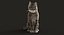 cat rigged fur 2 3D model