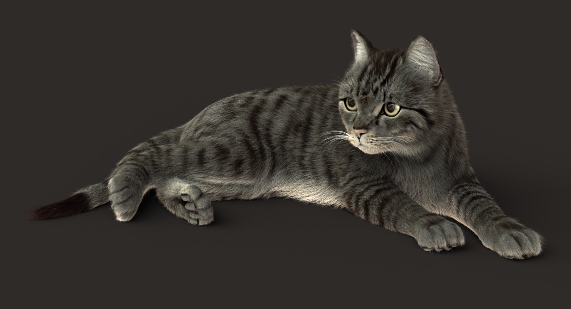 cat rigged fur 2 3D model https://p.turbosquid.com/ts-thumb/ya/uJrc8P/rJLEkrkx/sig01/jpg/1531270237/1920x1080/fit_q87/cab256a0d3adec35e5d9d7b566f37f91622187aa/sig01.jpg