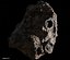 Three Asteroids