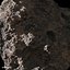 Three Asteroids