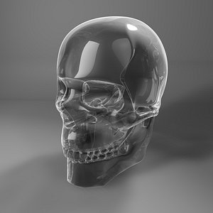 3D toned glass skull l772