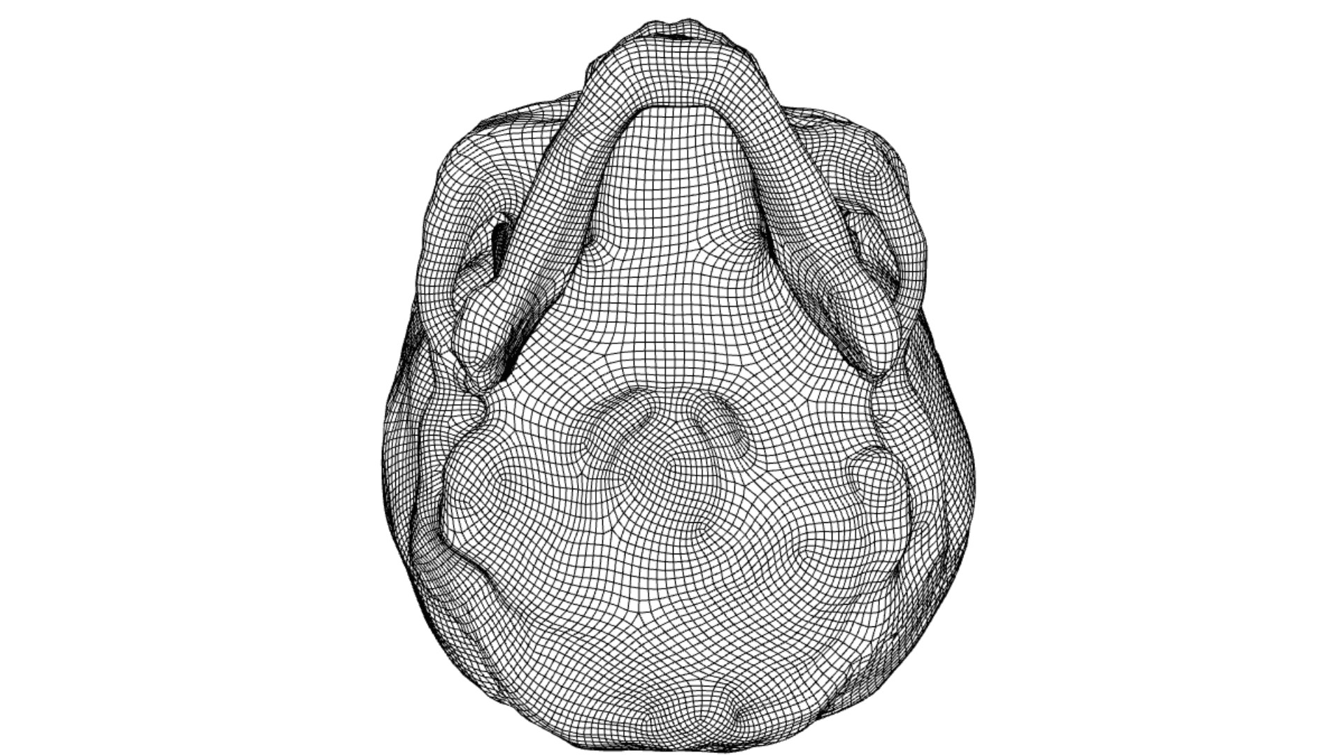 Robust Skull Cranium 3D Model - TurboSquid 1589230