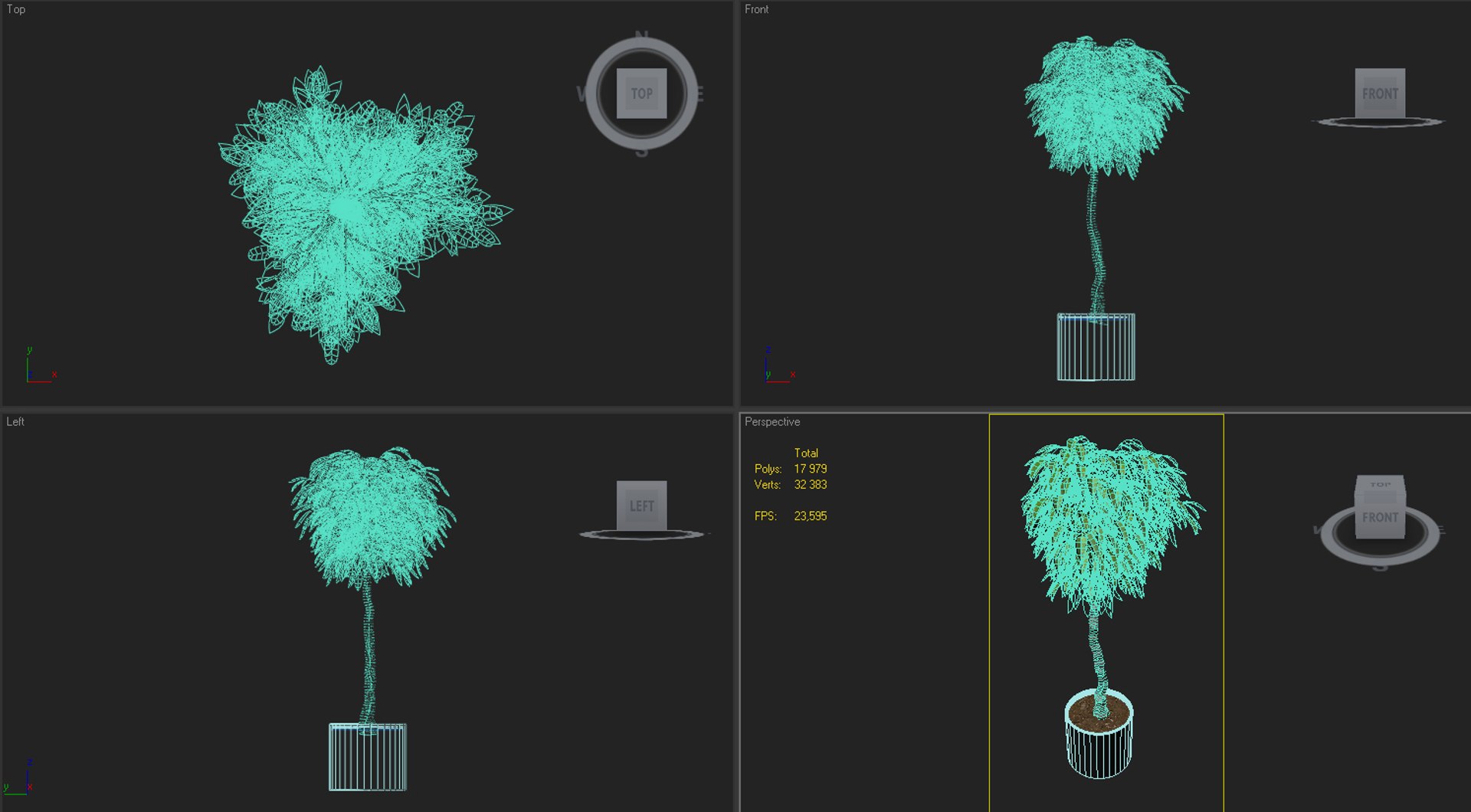 3d fig ficus tree