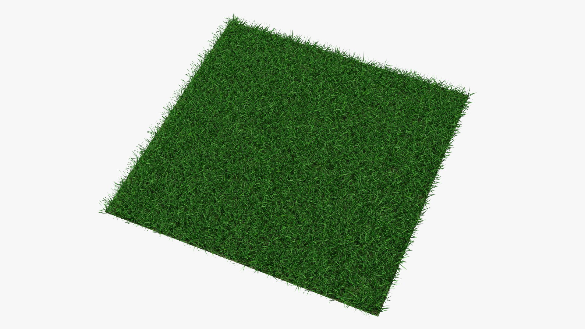 3D Seashore Paspalum Grass https://p.turbosquid.com/ts-thumb/yb/VRSKIt/Bp/seashorepaspalumgrassc4dmodel001/jpg/1718654583/1920x1080/fit_q87/0e6d43cca320dd4641150611d7461e5a3786a1b1/seashorepaspalumgrassc4dmodel001.jpg