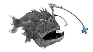 3D Angler Fish