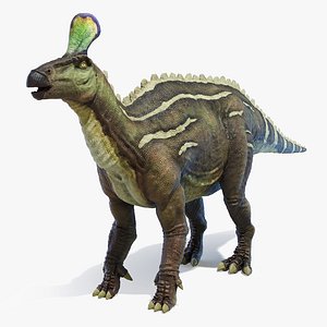 3D model Tsintaosaurus Static