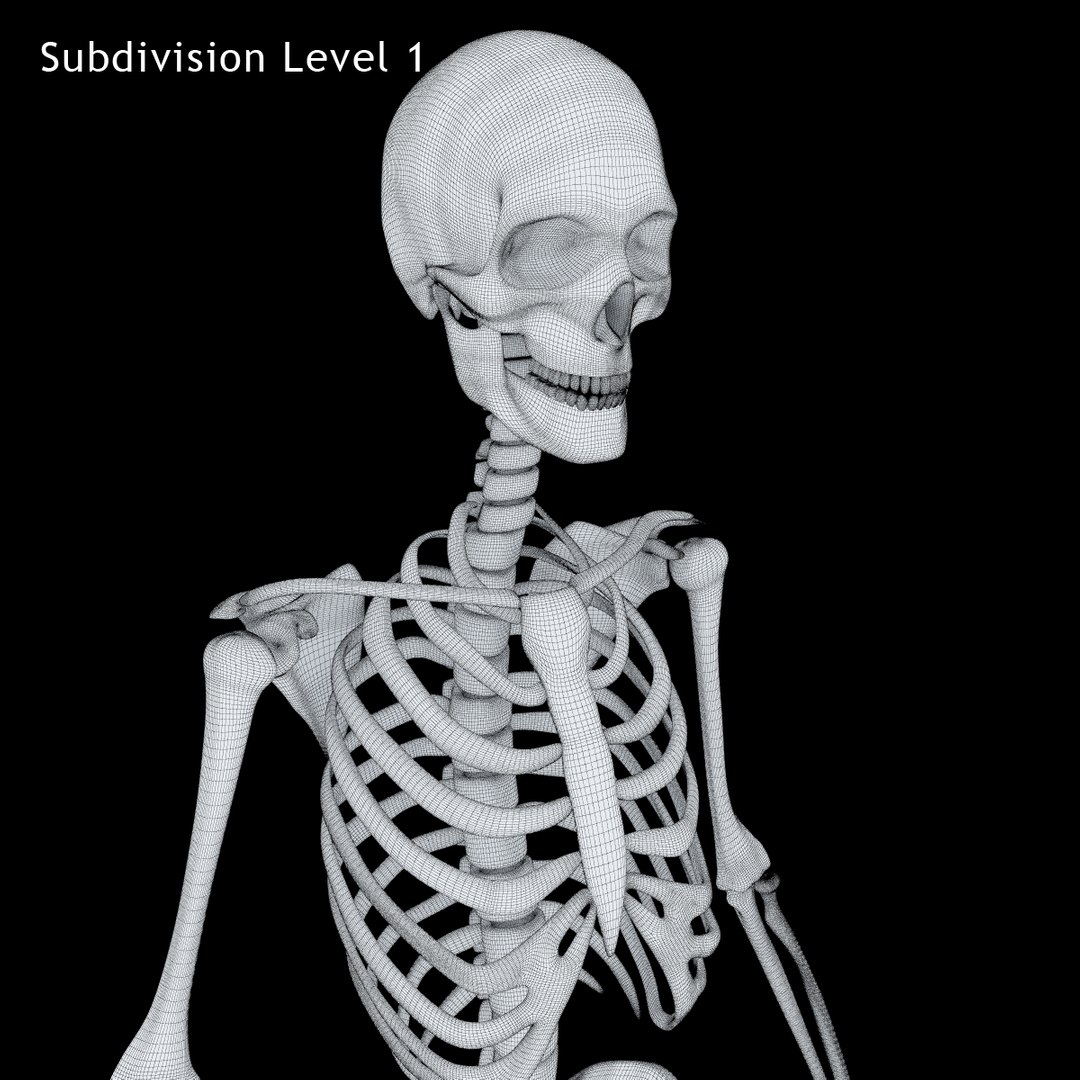 3ds human skeleton https://p.turbosquid.com/ts-thumb/yb/fROgqI/a1lAf2Xi/12/jpg/1422810200/1920x1080/fit_q87/ac06c7ea3d7f599bb89e38aed6fb275d179074af/12.jpg