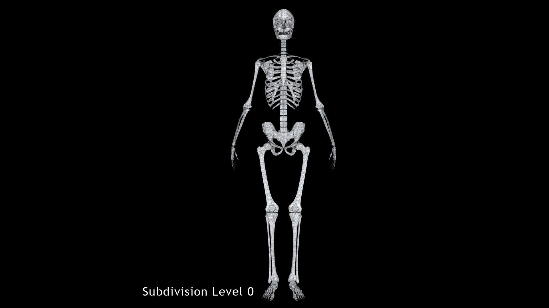 3ds human skeleton https://p.turbosquid.com/ts-thumb/yb/fROgqI/qC/19/jpg/1662655320/1920x1080/fit_q87/7df81455e2f4b4b367a64c81b85dffb72477a971/19.jpg