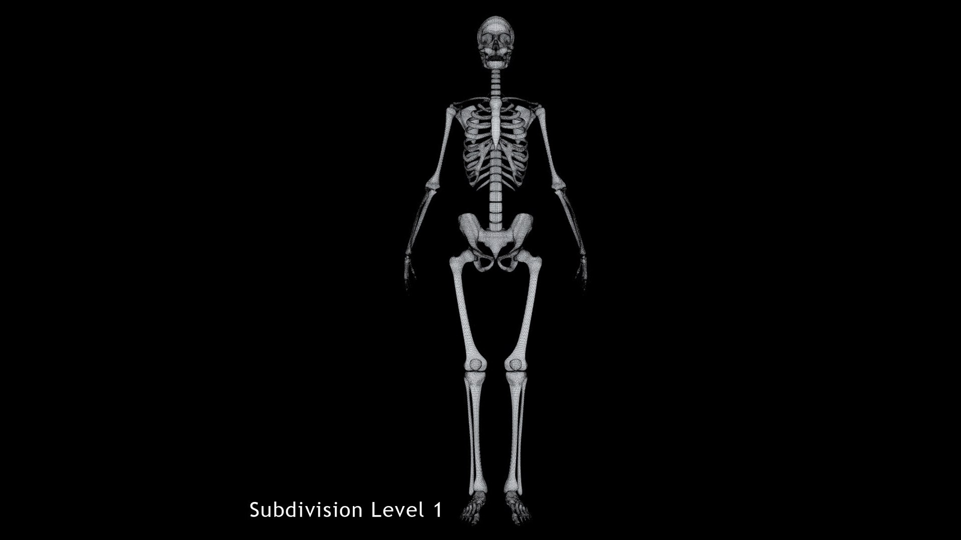 3ds human skeleton https://p.turbosquid.com/ts-thumb/yb/fROgqI/v6/20/jpg/1662655322/1920x1080/fit_q87/31ec51f906ccce9a1b86b93d3c92686225a4160a/20.jpg