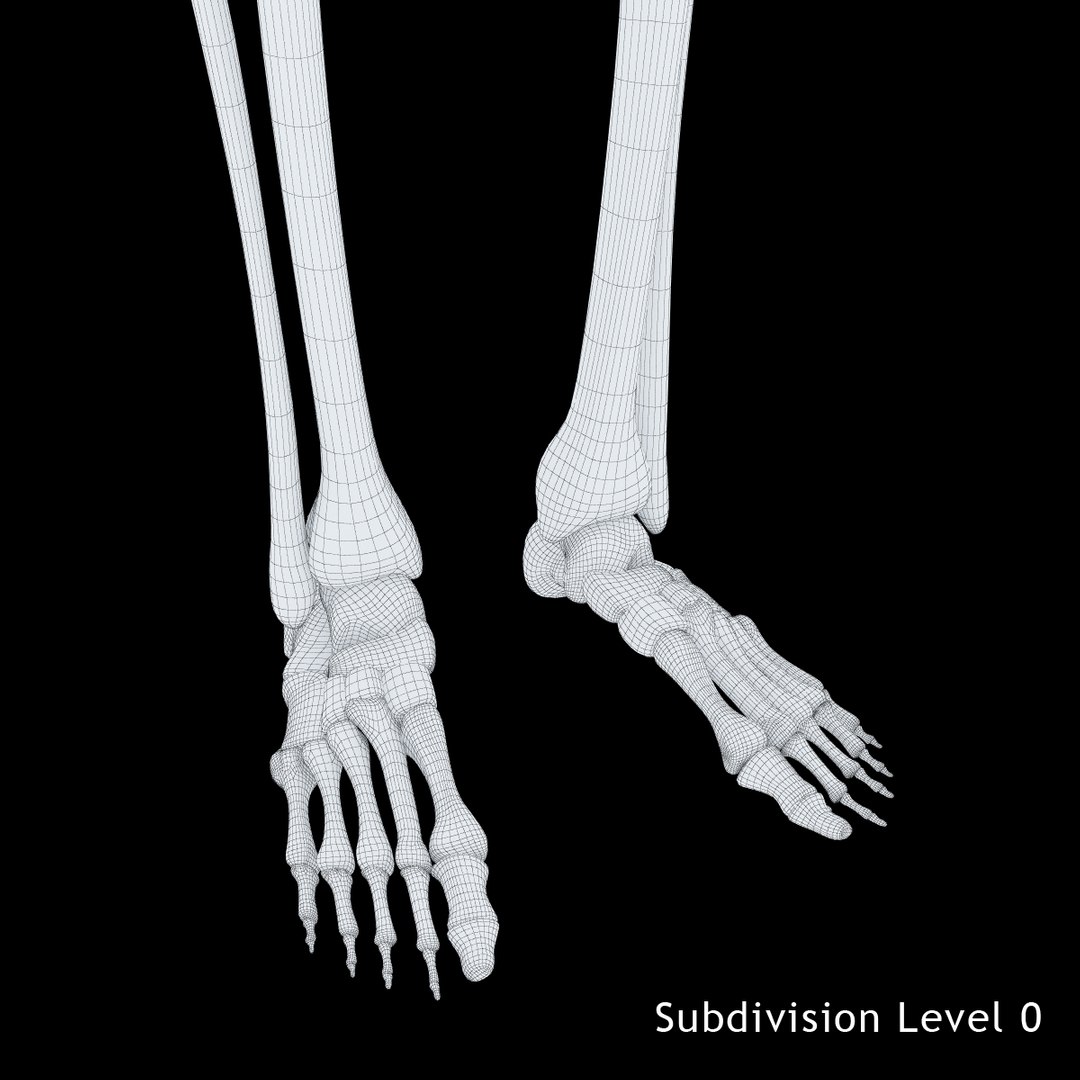 3ds human skeleton https://p.turbosquid.com/ts-thumb/yb/fROgqI/yMFxCzTh/13/jpg/1422810200/1920x1080/fit_q87/28735ea90bfb9410a676e661be6fda55ace60d66/13.jpg