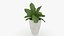 3D m77 Green plant in pot