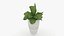 3D m77 Green plant in pot