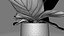 3D m77 Green plant in pot