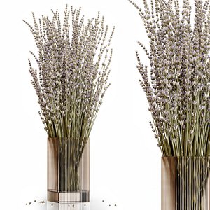 Dry flowers 5 lavender model