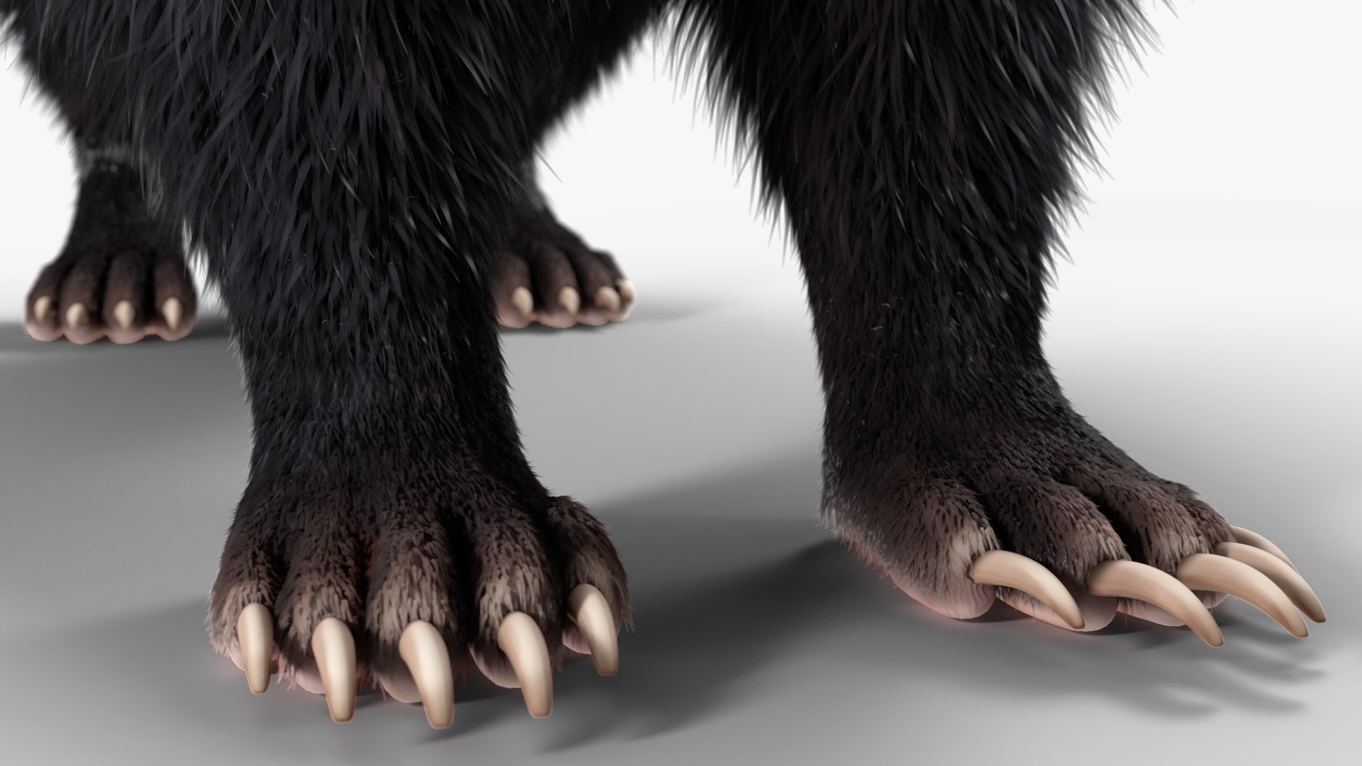 Skunk Fur 3D model - TurboSquid 2107331