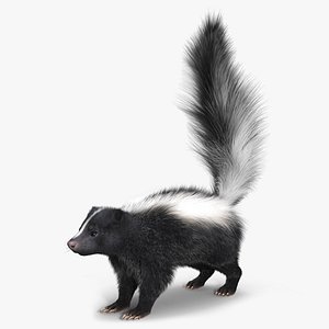 Skunk Fur
