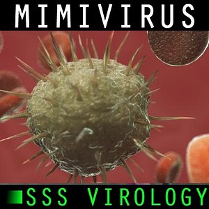 mimivirus virus 3d model