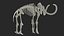 3D Mammoth Skeleton Clean Bones Rigged