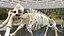 3D Mammoth Skeleton Clean Bones Rigged
