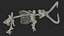3D Mammoth Skeleton Clean Bones Rigged