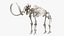 3D Mammoth Skeleton Clean Bones Rigged