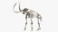 3D Mammoth Skeleton Clean Bones Rigged