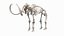 3D Mammoth Skeleton Clean Bones Rigged