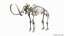 3D Mammoth Skeleton Clean Bones Rigged