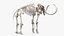 3D Mammoth Skeleton Clean Bones Rigged
