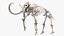 3D Mammoth Skeleton Clean Bones Rigged