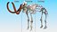 3D Mammoth Skeleton Clean Bones Rigged