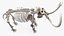3D Mammoth Skeleton Clean Bones Rigged