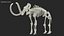 3D Mammoth Skeleton Clean Bones Rigged