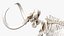 3D Mammoth Skeleton Clean Bones Rigged
