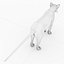 cat mammal animal 3D model