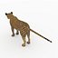 cat mammal animal 3D model