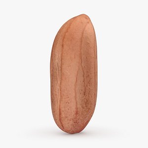 Peanut Kernel 03 3D model