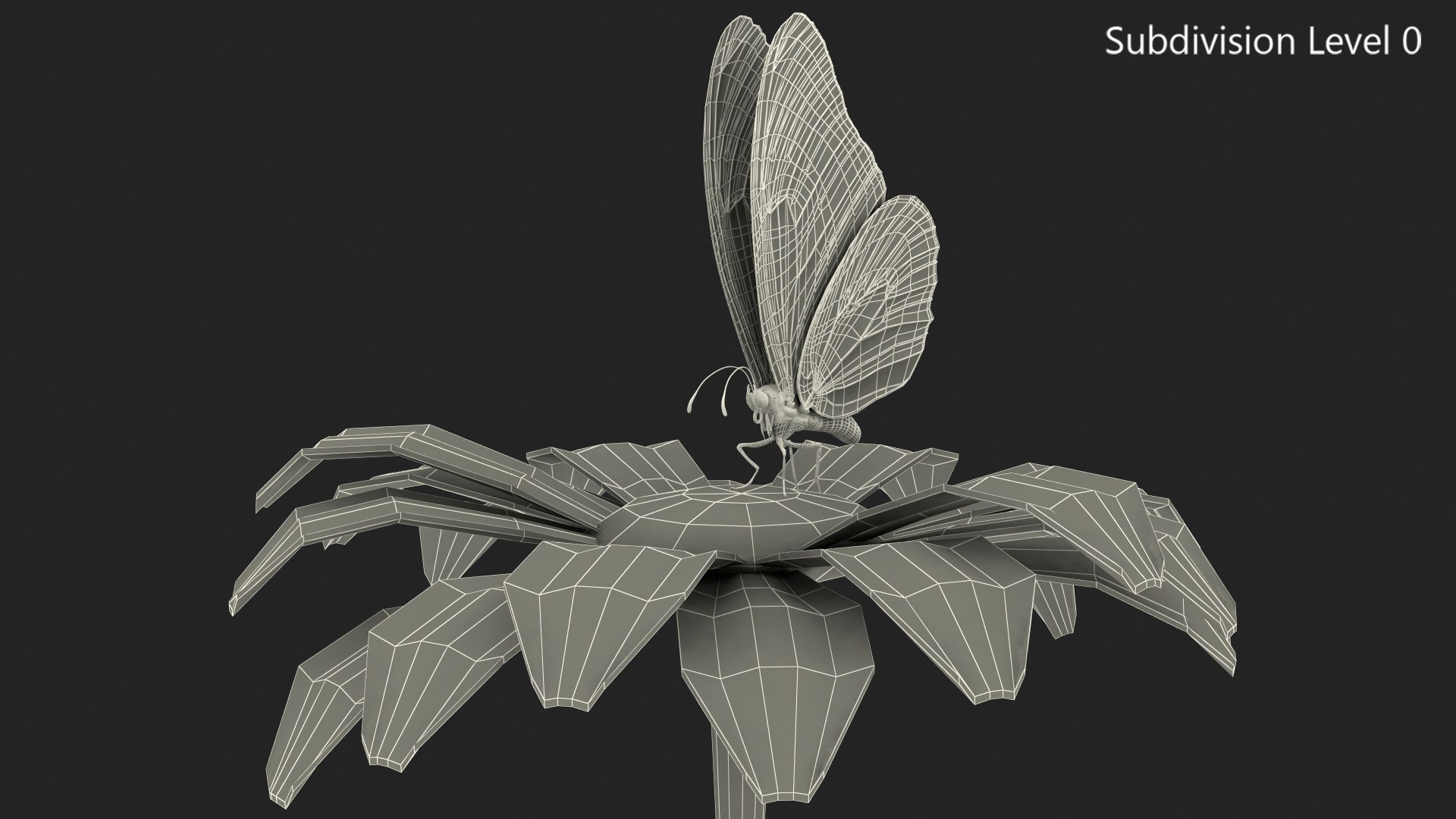 monarch butterfly collects nectar 3D model https://p.turbosquid.com/ts-thumb/yb/yJknhR/K12zrSsQ/animatedmonarchbutterflycollectsnectarfromswingingflowerfurriggedc4dmodel013/jpg/1573179833/1920x1080/fit_q87/63fbb02fe3d12c7c1936a14a37c77eaf4be376bd/animatedmonarchbutterflycollectsnectarfromswingingflowerfurriggedc4dmodel013.jpg