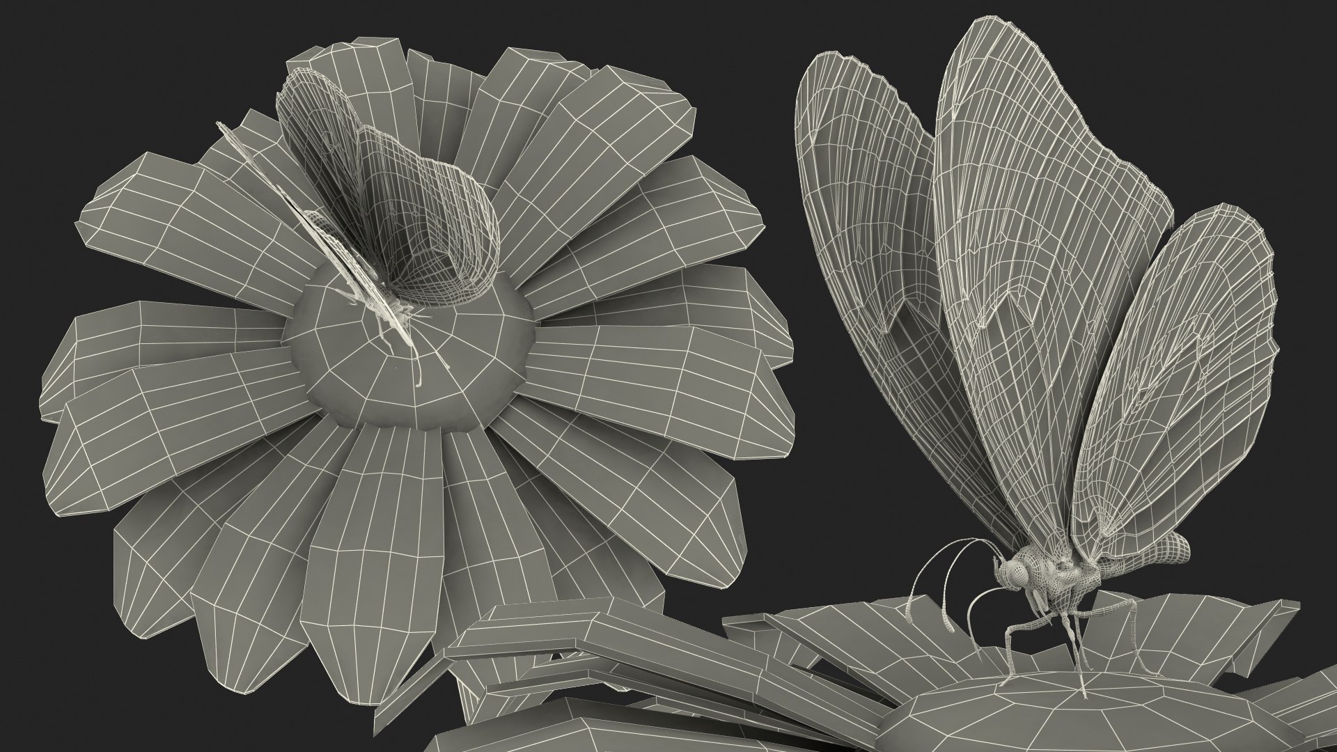 monarch butterfly collects nectar 3D model https://p.turbosquid.com/ts-thumb/yb/yJknhR/PbVCbxk2/animatedmonarchbutterflycollectsnectarfromswingingflowerfurriggedc4dmodel020/jpg/1573179868/1920x1080/fit_q87/dcf069f9e85a3c31f106d05f2022fc8c81fa252b/animatedmonarchbutterflycollectsnectarfromswingingflowerfurriggedc4dmodel020.jpg