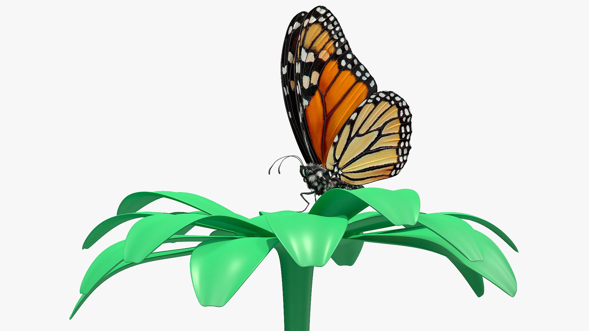 monarch butterfly collects nectar 3D model https://p.turbosquid.com/ts-thumb/yb/yJknhR/aFnY2IyB/animatedmonarchbutterflycollectsnectarfromswingingflowerfurriggedc4dmodel004/jpg/1573179789/1920x1080/fit_q87/460c402efb5a92de824d3e97d19eb8e268236e77/animatedmonarchbutterflycollectsnectarfromswingingflowerfurriggedc4dmodel004.jpg