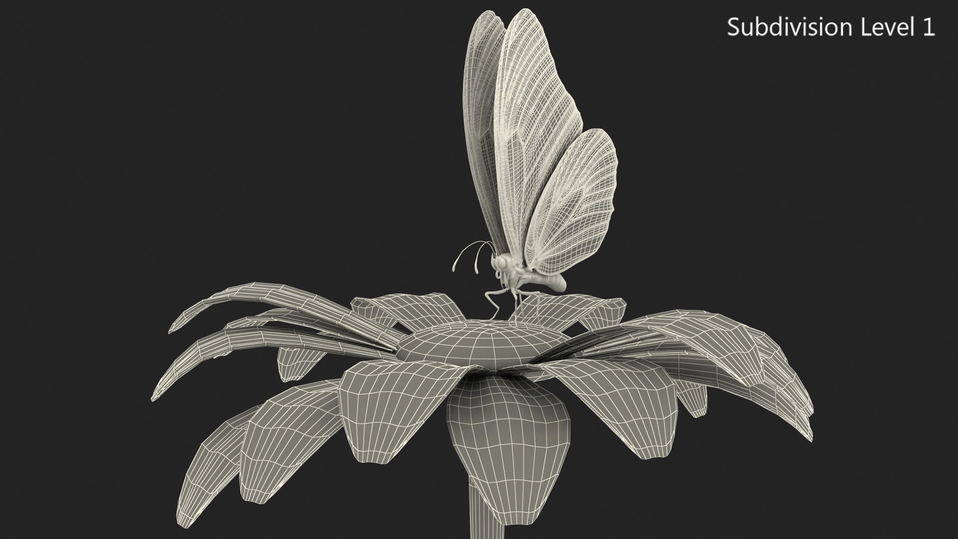 monarch butterfly collects nectar 3D model https://p.turbosquid.com/ts-thumb/yb/yJknhR/appnSGI6/animatedmonarchbutterflycollectsnectarfromswingingflowerfurriggedc4dmodel014/jpg/1573179838/1920x1080/fit_q87/babae32af6d7cc2ecbbf60f0b22d7fe594b9961a/animatedmonarchbutterflycollectsnectarfromswingingflowerfurriggedc4dmodel014.jpg