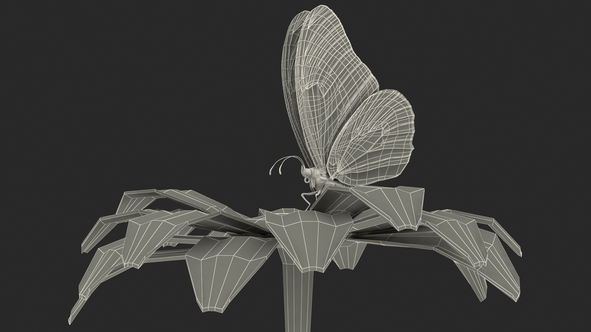 monarch butterfly collects nectar 3D model https://p.turbosquid.com/ts-thumb/yb/yJknhR/eZYHt2JV/animatedmonarchbutterflycollectsnectarfromswingingflowerfurriggedc4dmodel019/jpg/1573179863/1920x1080/fit_q87/f26085cd9aaf827f927810cf6edb8a4268fce929/animatedmonarchbutterflycollectsnectarfromswingingflowerfurriggedc4dmodel019.jpg