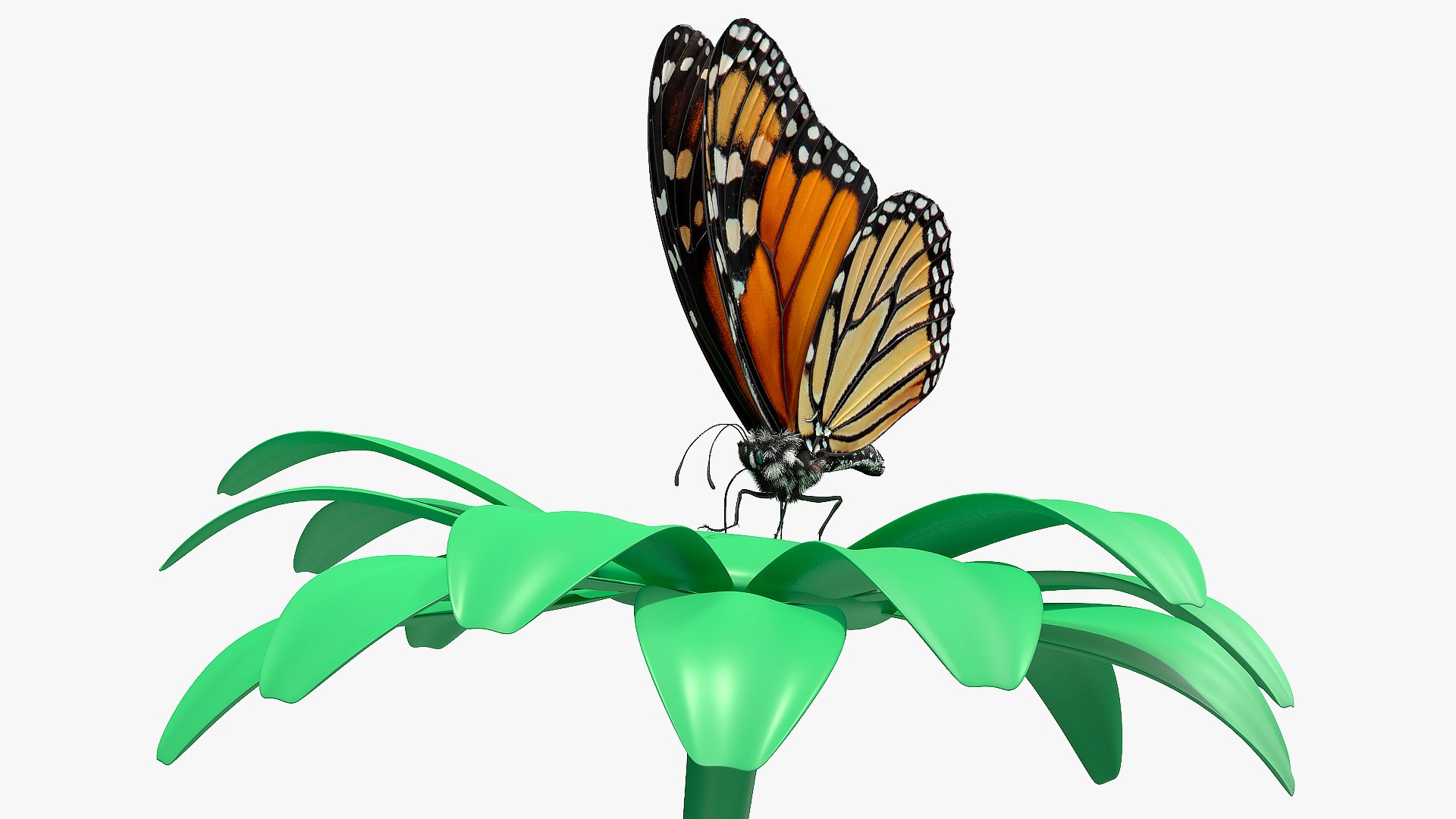 monarch butterfly collects nectar 3D model https://p.turbosquid.com/ts-thumb/yb/yJknhR/wjORwZWi/animatedmonarchbutterflycollectsnectarfromswingingflowerfurriggedc4dmodel005/jpg/1573179794/1920x1080/fit_q87/a3d30adf64320cfeb6b1b7a84d8be3c34e539ecf/animatedmonarchbutterflycollectsnectarfromswingingflowerfurriggedc4dmodel005.jpg