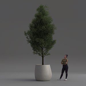 Escofet Catherine by Javier Mariscal